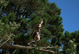 Scene from the show Xena: Warrior Princess where Xena does a REALLY big jump flip