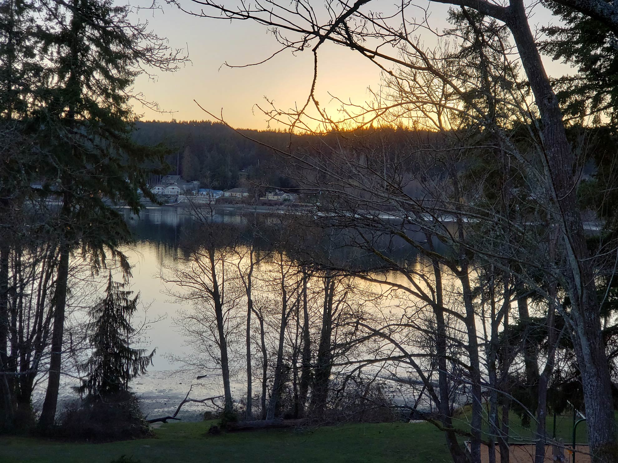Photograph of everygreen trees sillhouetted against water at sunset
